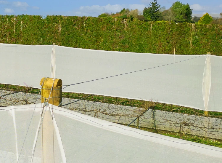 Close up image of orchard shelter structure showing end-capping and quality of build