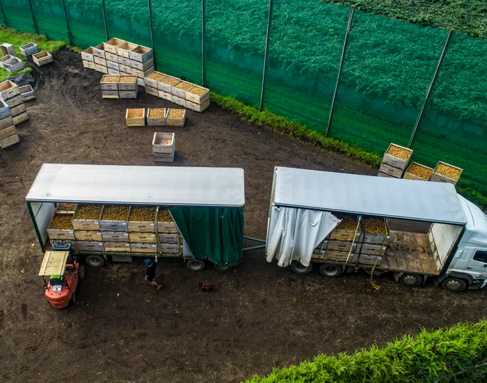 Aerial image of Brix truck being loaded with fruit by forklift