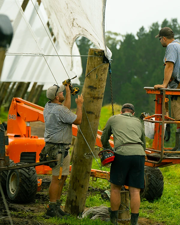 Brix Group workers installing vertical post during orchard development project