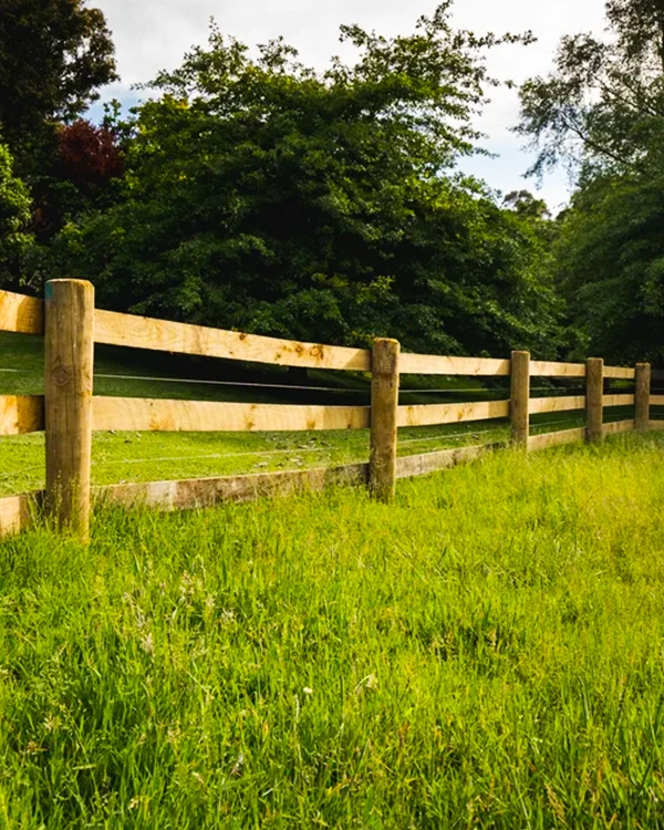 Post and timber rail fence in grassy field