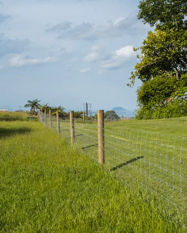 Wire fence strung between sturdy timber posts on lifestyle property. Mount Maunganui in background.