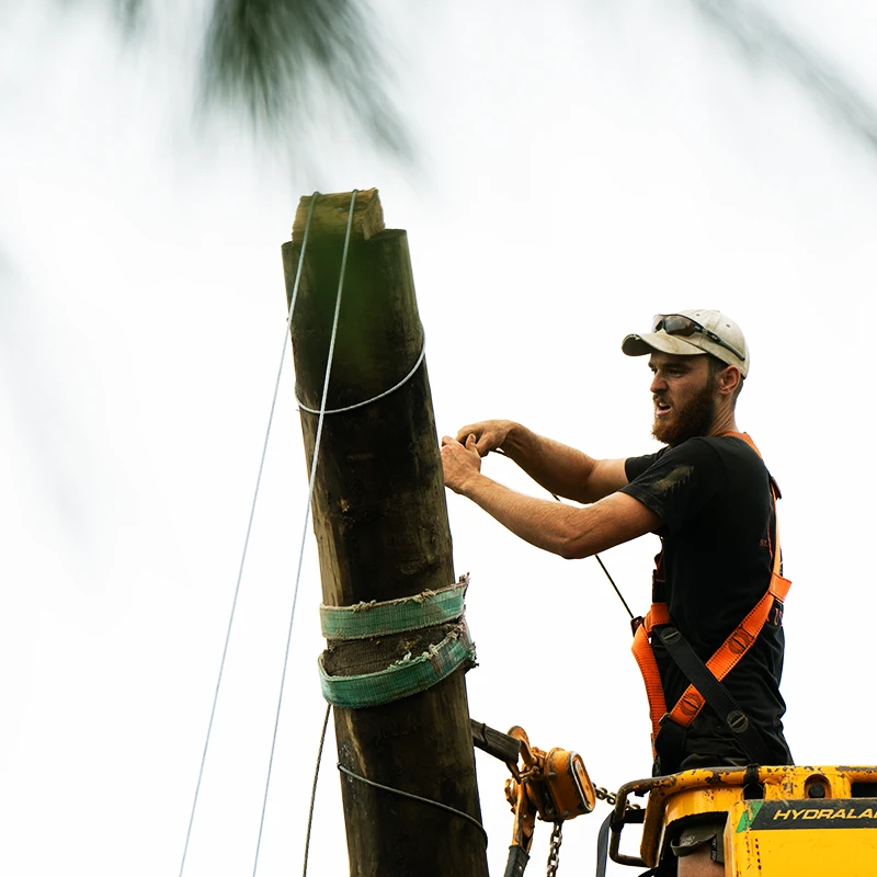 A man high in the air on travel lift securing steel cable which will be used to position the vertical shelter cloth in place.