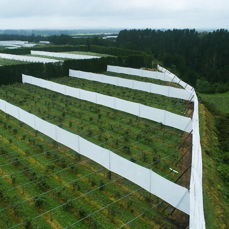 An aerial photograph looking down on green orchard with freshly installed vertical shelter. It's a cloudy day.