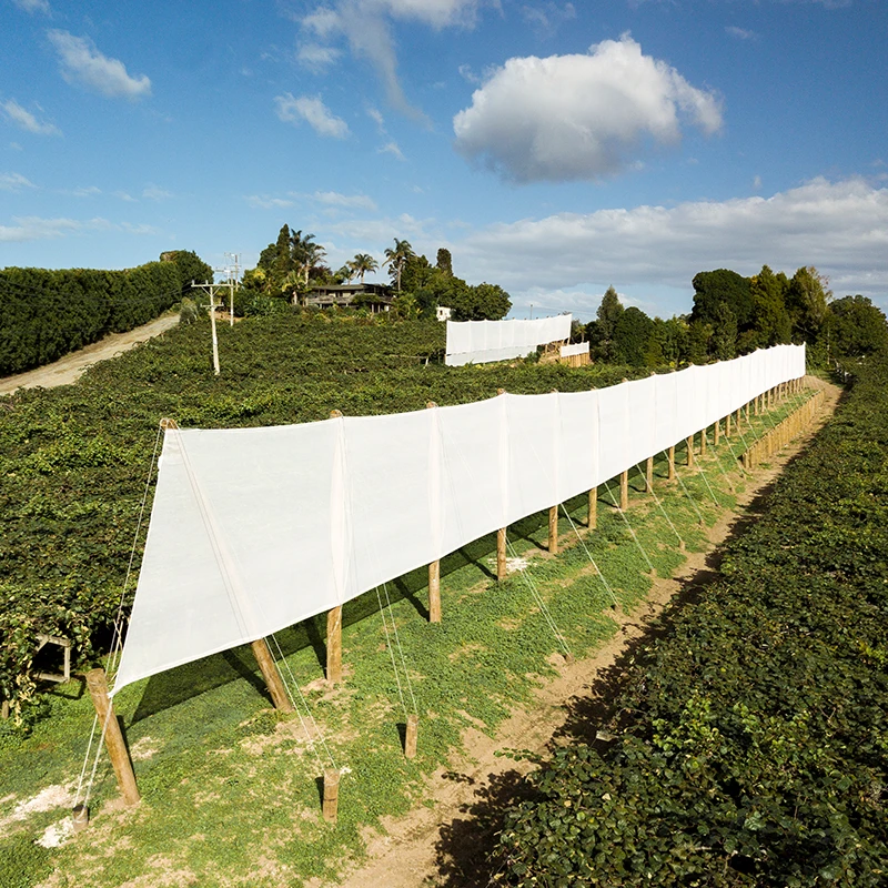 An aerial view of a large vertical orchard shelter structure