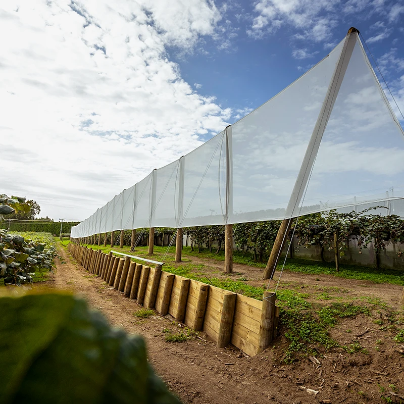 Low timber retaining wall installed beneath white vertical shelter on Te Puna orchard