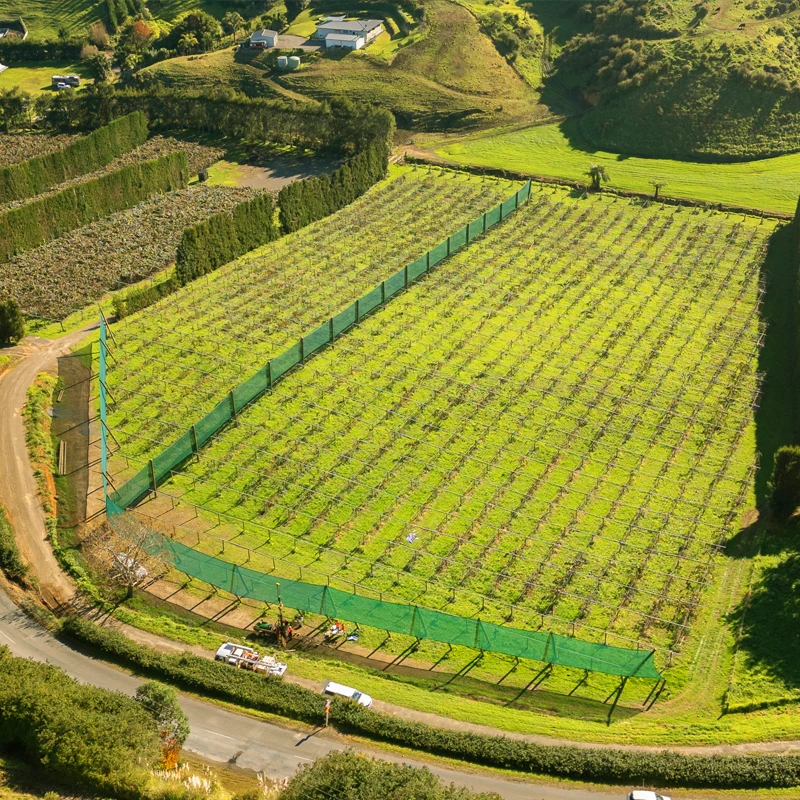Aerial photograph high above orchard showing scale of vertical shelter installed by brix
