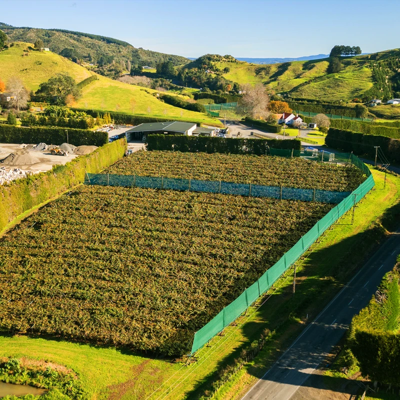 Aerial image showing productive kiwifruit orchard lined with green vertical shelter. Green grass and rolling hills in background